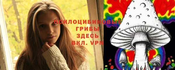 МДПВ Богданович