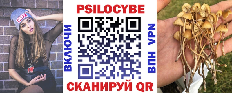 ссылка на мегу зеркало  Могоча  Галлюциногенные грибы GOLDEN TEACHER 